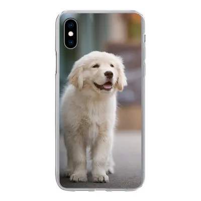 Produktbild von MuchoWow® Handyhülle Schutzhülle Hülle für iPhone Xs Ein Golden Retriever Welpe läuft auf dem Bürgersteig Silikon Softcase Handy Hülle - Handytasche
