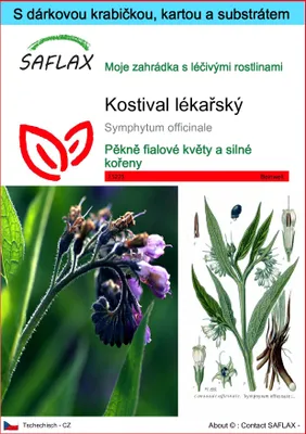 Obrázek produktu pro SAFLAX Dárková sada - Kostival lékařský - Symphytum officinale - 15 Semena - S dárkovou krabičkou, přepravním štítkem, dárkovou kartou a pěstebním médiem