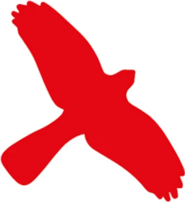 Produktbild von Dreifke® Vogelschutz Aufkleber für Fenster | Folie selbstklebend | 350x230 mm...
