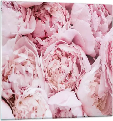 Produktbild von Bilder auf glas - Einteilig - Blumenstrauß Blumen Rosa - 60x60cm - Glasbilder - Wandbilder - Bilder - zum Aufhängen bereit - Wanddekoration aus Glas - Glas Bilder - Wandbild auf Glas - GAC60x60-5001