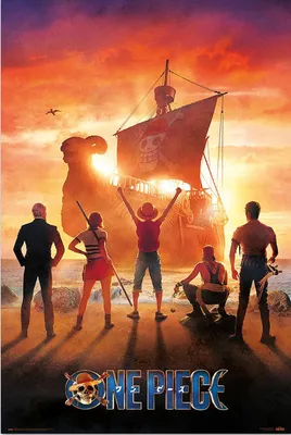 Produktbild von One Piece Poster Straw Hat Pirates