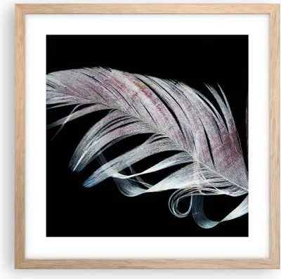 Produktbild von Gerahmtes Poster - Rahmen in heller Eiche - Feder die Farben Zartheit - 40x40 cm - Wand Bild - Wanddeko - Wandbilder - Kunstposter - Wandposter - Bilderrahmen - Bilder - Kunstdruck - P2NAC40x40-4959