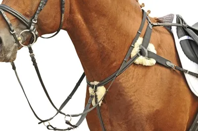 Produktbild von Vorderzeug mit Martingal, unterlegt mit Lammfell, Farbe:braun, Groesse:Warmblut