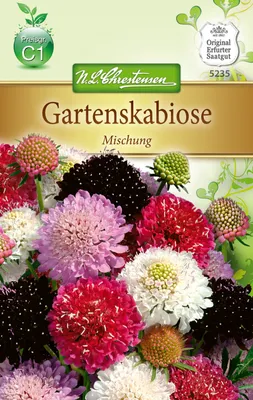 Produktbild von Gartenscabiose Mischung  | Blumensamenmischung von N.L. Chrestensen