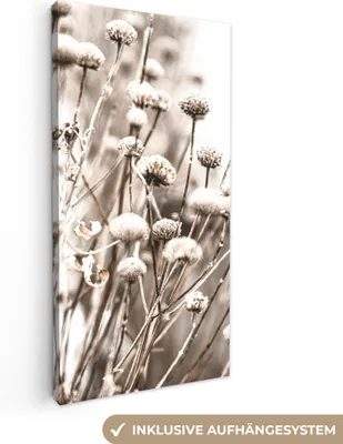Obrázek produktu pro OneMillionCanvasses® - Plátno - Květiny - Rostliny - Zátiší - Příroda, nástěnná malba, nástěnné dekorace obrazy obývací pokoj, 20x40cm