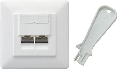 Produktbild von SCHWAIGER -TDU2628 532- Netzwerk Anschlussdose (UP) 2 RJ45 Buchsen (8P8C), Weiß