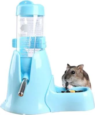 Produktbild von 80-ml-Futter-/Wasserspender für Hamster, für Kleintiere wie Meerschweinchen und Kaninchen
