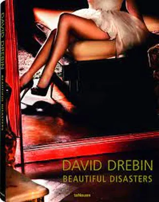 Image de Beautiful Disasters
