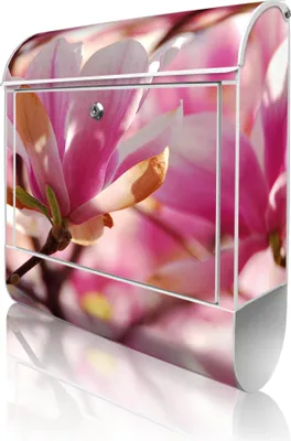 Zdjęcie produktu dla banjado Design Skrzynka pocztowa stalowa biała z przegródką na gazety, malowana proszkowo „Magnolia” 38 x 46 x 12,5 cm i 2 klucze – skrzynka pocztowa A4 z otworem na listy, wraz z materiałami montażowymi [BK 10407]