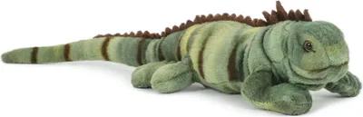 A plush toy iguana lying on a white background.