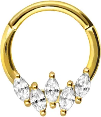 Produktbild von Ohrpiercing, Nasenpiercing, Septum Piercing Chirurgenstahl Segmentring Clicker 5 EINGEFASSTE KRISTALLE
