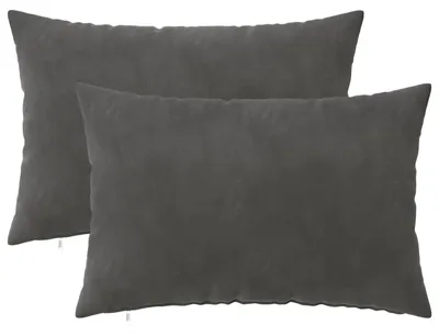 Image de vidaXL, housses de coussin 2 pièces, modèle HEERLEN, gris foncé, 50 x 70 cm, en velours
