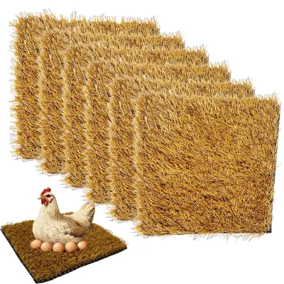 Obrázok produktu pre 6 vajíčok s hniezdom pre slepice, 30 x 30 cm, vankúšik do hniezda pre slepice