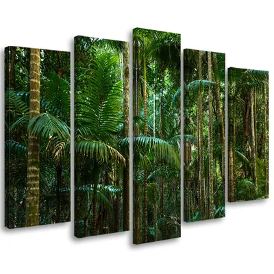 Produktbild von 5-teiliges leinwandbild natur regenwald 100x70 cm Feeby grün wandbild bereit zum aufhängen