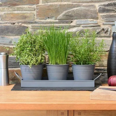 Immagine prodotto di Set per piante, 3 pezzi, metallo, grigio, coltivazione di erbe aromatiche, cucina, davanzale