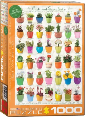 Obrázok produktu pre Nádherná príroda Kaktusy a sukulenty 1000-dielne puzzle Formát 68x48 cm