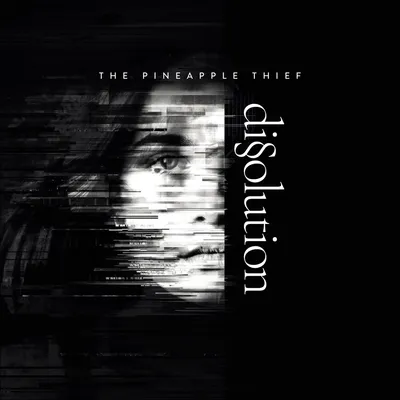 Dissolution – Doppel-LP, 180g Vinyl, Rock