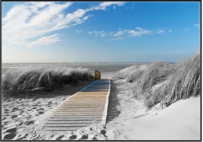 Produktbild von Wallario Wandbild Auf dem Holzweg zum Strand in schwarz-weiß Optik, Größe: 70,30 x 100,30 cm, Poster mit schwarzem Aluminiumrahmen