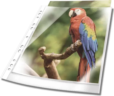 Image de Durable BUSINESS Pochette A4 Krystaliczna 25 pièces