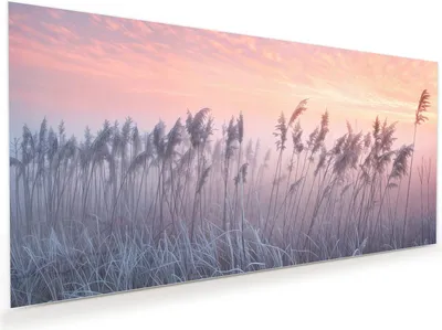 Produktbild von Glasbild 110x55cm in XXL für Wohnzimmer, Schlafzimmer Motiv Nebelwiese am Morgen