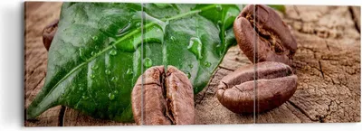 Produktbild von Bild auf Leinwand - Leinwandbild - Aroma Kaffee Pflanze Samen - 120x40cm - Wand Bild - Wanddeko - Leinwanddruck - Bilder - Kunstdruck - Wanddekoration - Leinwand bilder - Wandkunst - CA120x40-2548