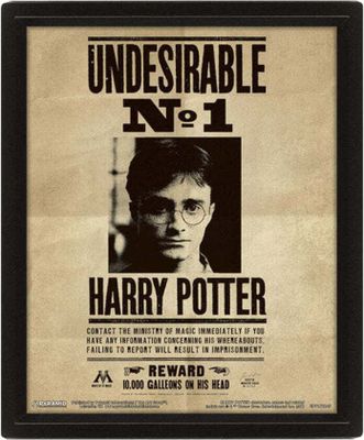 Harry Potter - Poster, 3D, "Sirius" PM3867 (20,5 cm x 25,5 cm x 0,2 cm) (Schwarz/Braun)