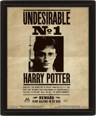 Produktbild von Harry Potter - Poster, 3D, "Sirius" PM3867 (20,5 cm x 25,5 cm x 0,2 cm) (Schwarz/Braun)