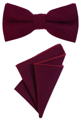 Produktbild von DonDon Herren Fliege 12 x 6 cm gebunden längenverstellbar und Einstecktuch 23 x 23 cm farblich passend aus Baumwolle beere