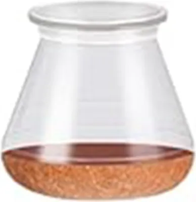 A conical glass beaker with a brown granular substance at the bottom, filled with a small amount of liquid.