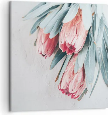 Produktbild von Bild auf Leinwand - Leinwandbild - Einteilig - Blume Eukalyptus Australier - 60x60cm - Wand Bild - Wanddeko - Wandbilder - Leinwanddruck - Bilder - Wanddekoration - Leinwand bilder - AC60x60-5016