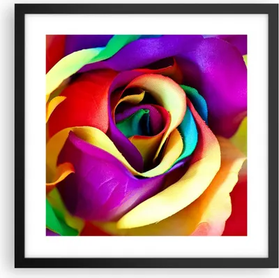 Produktbild von Gerahmtes Poster - Schwarzer Rahmen - Blume Farbe Rose - 40x40 cm - Wand Bild - Wanddeko - Wandbilder - Kunstposter - Wandposter - Bilderrahmen - Bilder - Kunstdruck - Wandbild - P2BAC40x40-3623