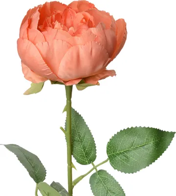Produktbild von Clayre & Eef Kunstblume 62 cm Orange Kunststoff