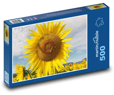 Obrázok produktu pre martinpuzzle – Puzzle 500 – Slnecnice