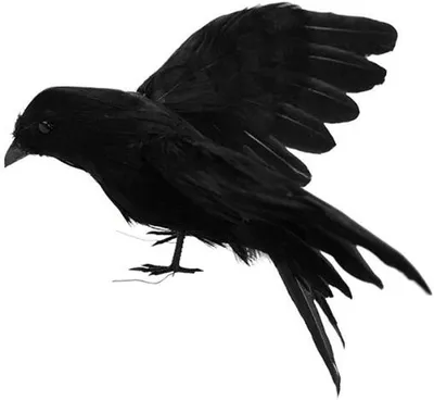 Produktbild von Halloween Schwarze Krähe, realistische handgemachte nachdenkliche Requisite Halloween Vögel Krähe Requisite Dekoration Outdoor Indoor Party Dekoration