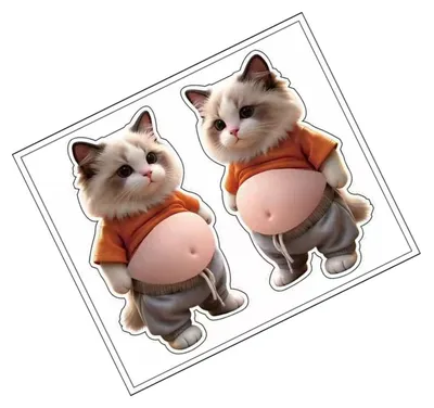 Productafbeelding van 3D Zelfklevende Stickers met Kattenontwerp