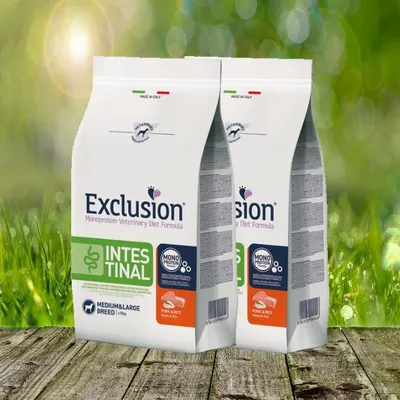 Produktbild von Intestinal Schwein & Reis medium/large breed 2 x 12 kg