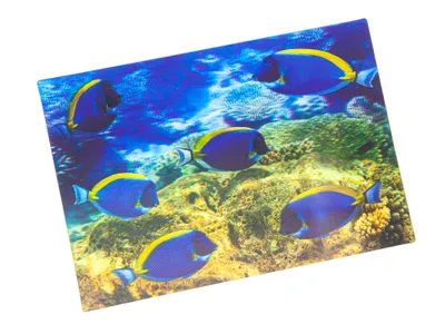 Produktbild von 3 D Ansichtskarte Doktorfische, Fische Meerstiere Ozean Postkarte Wackelkarte Hologrammkarte Tiere
