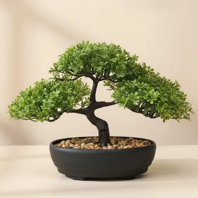 Image de Arbre de bonsaï artificiel pour intérieur, avec pot