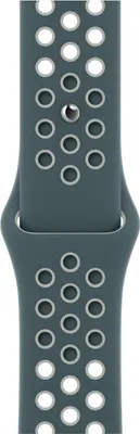 Image de Apple MJ6G3ZM/A accessoire intelligent à porter sur soi Bande Vert, Argent Fluoroélastomère