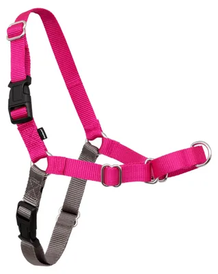 Image de Harnais Easy Walk de PetSafe.