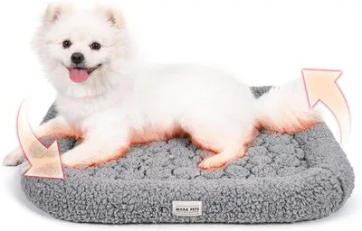 Produktbild von Famanu Haustierbett selbstwärmend für Hunde und Katzen - Ideal für kalte Umgebungen - 58 x 52 x 8 cm
