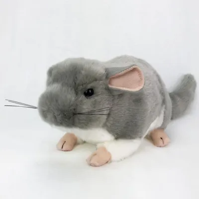 Produktbild von Niedliche Simulation Chinchilla Plüschtiere Ratte Maus Weiche Kuscheltiere Puppen Kinder Mädchen Geschenk