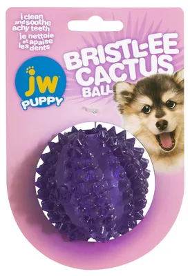 Productafbeelding van JW Puppy - Borstelcactusbal
