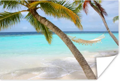 Produktbild von MuchoWow® Poster Meer - Palme - Hängematte 180x120 cm - Fotoplakat