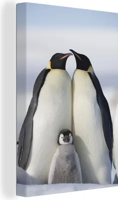 Produktbild von MuchoWow® - Leinwandbilder - Pinguin - Familie - Schnee, Wandbild, Wanddeko Bilder Wohnzimmer, 80x120 cm