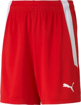 Immagine prodotto di Pantaloni Puma Teamliga 70493101