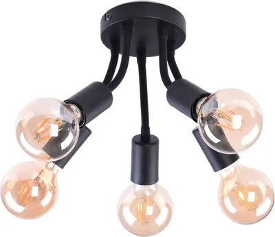 Image de Rabalux Plafonnier noir Almus pour 5x ampoule E27 6809
