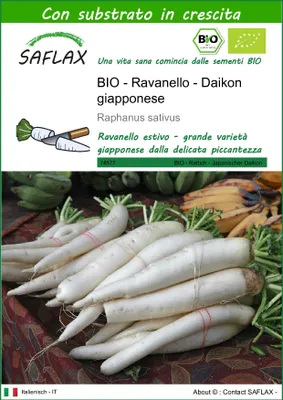 Immagine prodotto di SAFLAX  -- Ravanello - Daikon giapponese - 100 semi - Con substrato - Raphanus