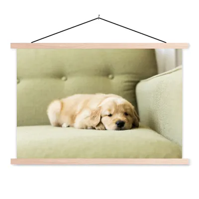 Produktbild von MuchoWow® Textilposter Ein schlafender Golden Retriever Welpe auf dem Sofa 60x40 cm mit holzfarbenen Rahmen - Bilder