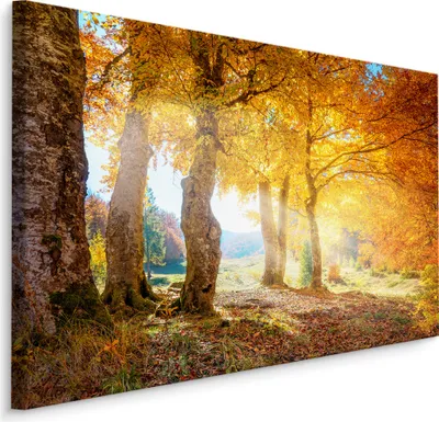 Produktbild von Fabelhafte Canvas LEINWAND BILDER 120x80 cm XXL Kunstdruck Wald Herbst Sonne Himmel